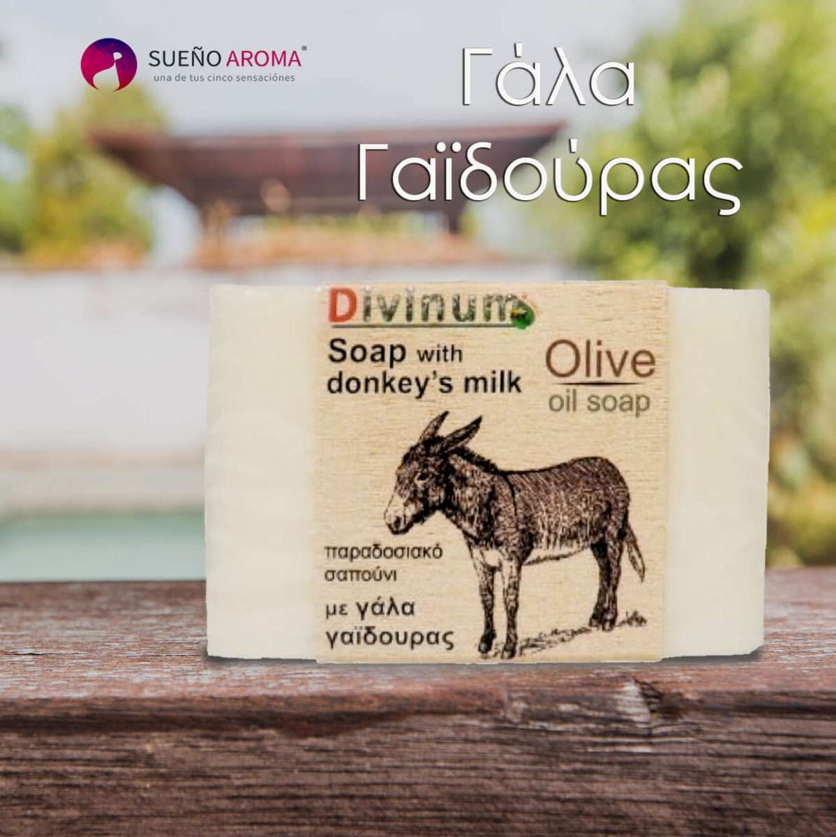 handmade soap donkey's milk olive oil divinum