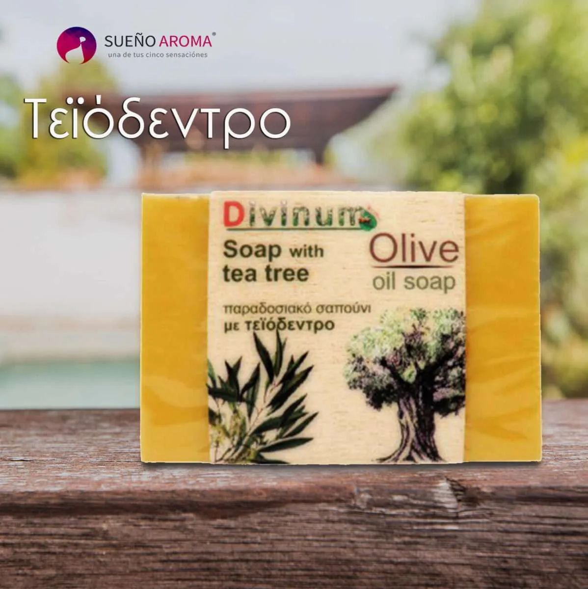 handmade soap tea tree olive oil divinum Divinum Χειροποίητo Σαπούνι ελαιολάδου Tεϊόδεντρο 100gr