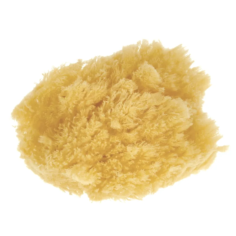 Parsa Beauty Φυσικό Σφουγγάρι Μπάνιου