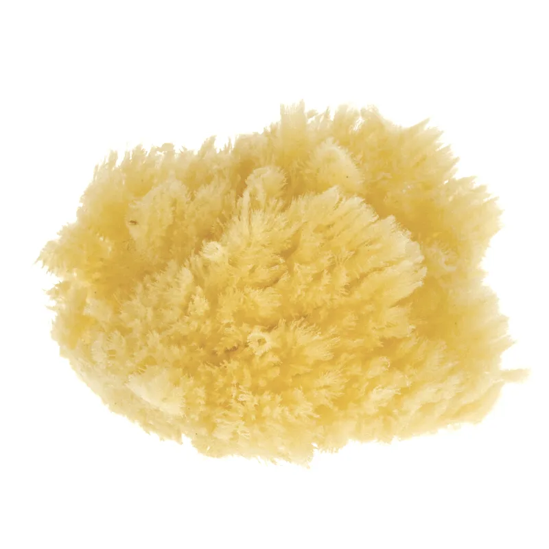 Parsa Beauty Φυσικό Σφουγγάρι Μπάνιου (1)