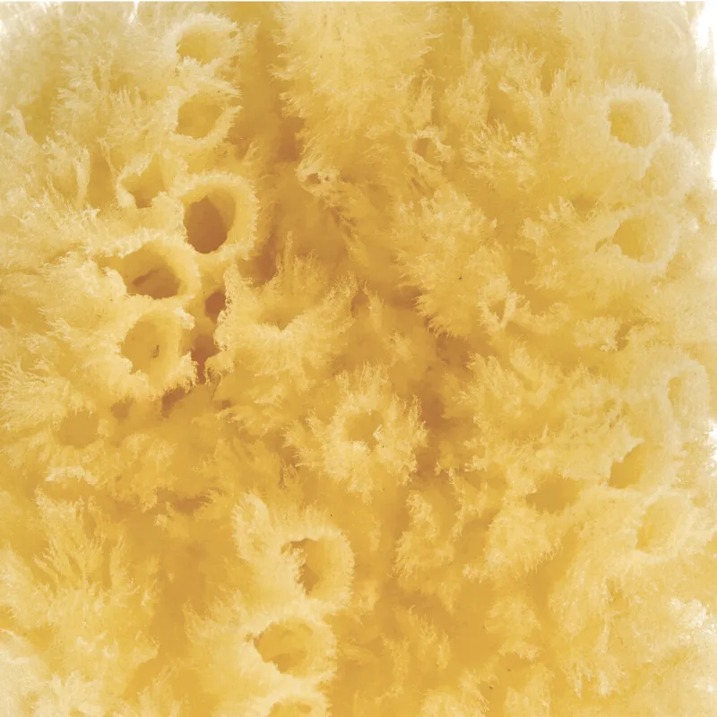 Parsa Beauty Φυσικό Σφουγγάρι Μπάνιου (2)