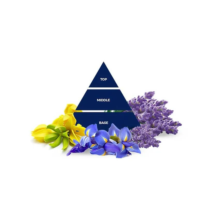 Felce Azzurra Fragrance Diffuser & Sticks Lavender & Iris - Λεβάντα & Ίριδα 200ml Felce Azzurra Fragrance Diffuser & Sticks Lavender & Iris - Λεβάντα & Ίριδα 200ml